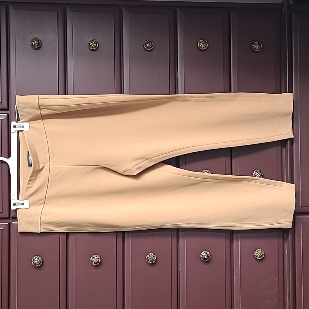 NWT XL Express Columnist High Waisted Wide Waistband Skinny Ankle Pant